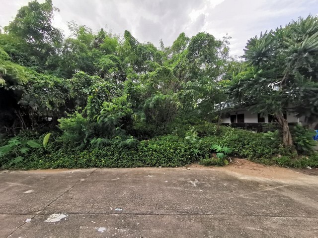 ขายที่ดินว่างเปล่า อำเภอเมืองอุบลราชธานี  อุบลราชธานี