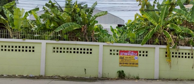 ขาย ที่ดินแปลงสวย 101 ตารางวา ทำเลเด่นย่านสะแกงาม 30 ทะลุเลียบด่วนกาญจนา บางขุนเทียน พระราม2 ติดถนนคอนกรีตถึง 2ด้าน เข้า-ออกได้สะดวก 