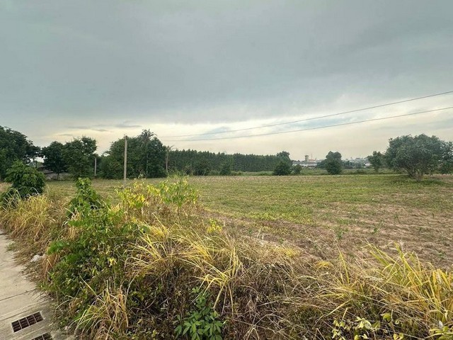 ขายที่ดินเปล่าบ่อวิน ศรีราชา แปลงสวย ทำเลทอง ราคาดี FP-L01884 