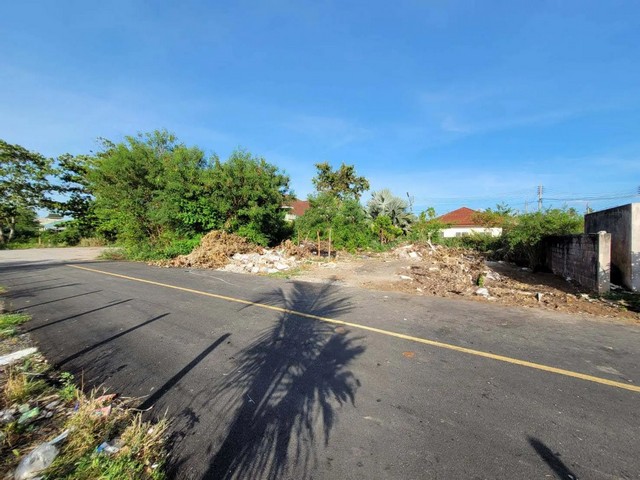  ขาย ที่ดินเปล่า มะขามเตี้ย สุราษฎร์ธานี ห่างจาก โรงพยาบาลสุราษฏร์ธานีเพียง 1.40 กม.