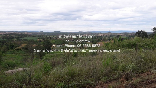 ที่ดิน ขายที่ดินบนเนินเขา 10-1-5 ไร่ (ใบอ่อน: ส.ป.ก./สร.5 ก.) วังน้ำเขียว นครราชสีมา ราคา 4,500,000 บาท (โอนฟรี)  4500000 THB   เดินทางง่าย นครราชสีมา   