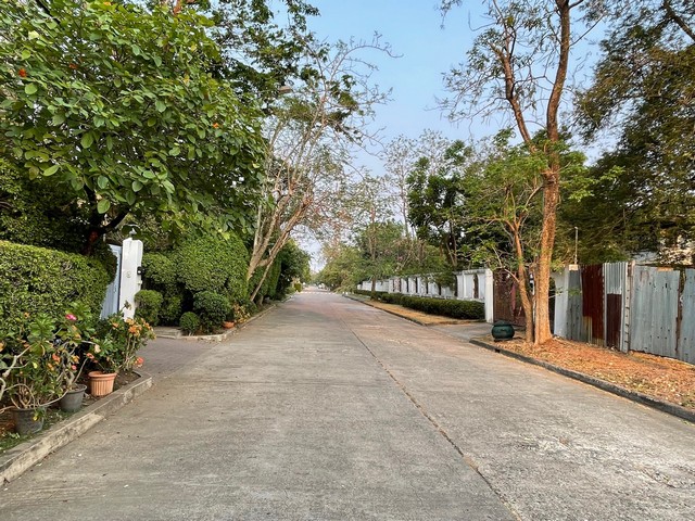 พื้นที่ดิน -  54000000 thb ใกล้กับ ใกล้ถนนศรีนครินทร์ และสวนหลวง ร.9 ทำเล-ทอง