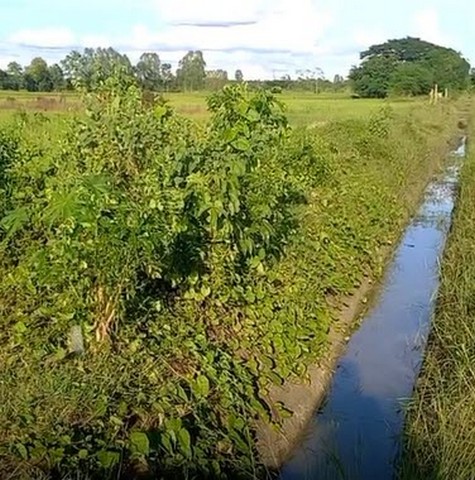 พื้นที่ดิน ขายที่ดินทุ่งนา บ้านนาเพียง ต.สำราญ อ.เมืองขอนแก่น จ.ขอนแก่น ขนาด = 3224 SQ.WA 6200000 -   ราคาสุดพิเศษ ขอนแก่น   