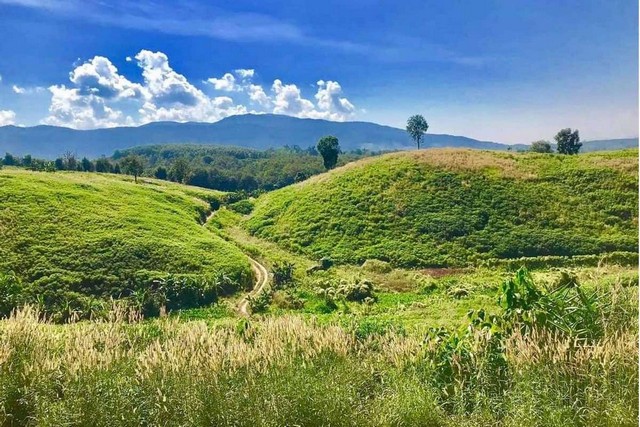 ูที่ดินแปลงสวยเนินหลังเต่าวิว 100 ล้าน บรรยากาศดี หาที่ไหนไม่ได้แล้ว 