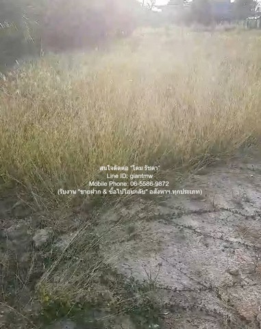 ที่ดิน ขายที่ดินเปล่าถมแล้ว 200 ตร.ว. ติดถนนพุทธมณฑลสาย 1 ราคา 30,000,000 บาท (150,000 บาท/ตร.ว.) บรรยากาศน่าอยู่ กรุงเทพ