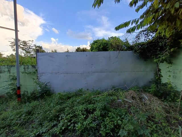 ขาย โกดัง ลำปลายมาศ บุรีรัมย์   ห่างจาก สถานีตำรวจชุมชนประจำตำบลหนองโดน 0.90 กม.