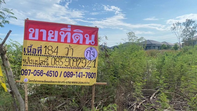 ขายที่ดินบางแก้ว ราคาถูก 192 ตารางวา   ซอยคอนโดอารียา  ใกล้เมกะบางนา  สวยพร้อมพัฒนา   ZTK277