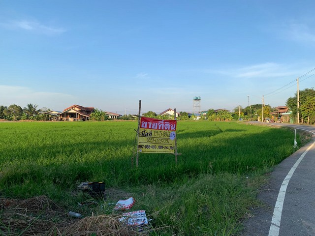 ขายที่ดิน 15-3-88 ไร่ ซอยหมอวิญญู  แหล่งชุมชน ใกล้อบต.หนองจอก บางปะกง