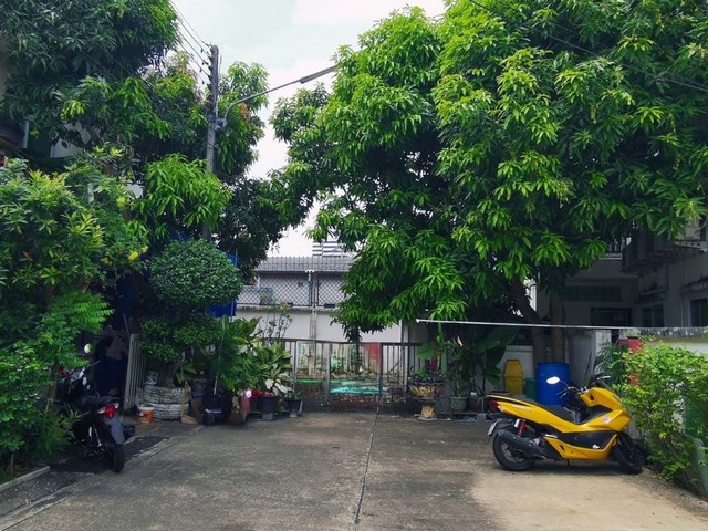 ขาย ทาวน์เฮ้าส์ ภูเก็ตแอดทาวน์ ภูเก็ต  ใกล้ ตลาดสดสาธารณะเทศบาลนครภูเก็ต