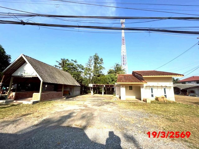 ขายบ้านเดี่ยวสุราษฎร์ธานี  อำเภอ ท่าชนะ  ถนน สายท่าชนะ - หลังสวน