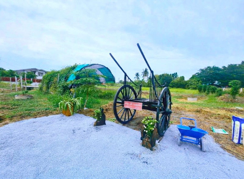 หนองจอก ใกล้มัสยิดนูรุ้ลลอซ์ 508 ตร.ม. อุตสาหกรรมบึงโคล่ ที่ดิน127 ตรว. สุวินทวงศ์41 โรงเรียนลำต้อยติ่งวิทยา สถานีตำรวจนครบาลลำผักชี