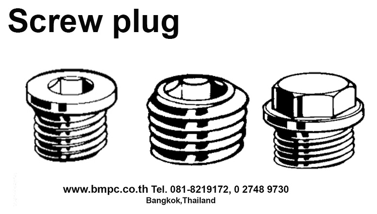 Oil plug, ปลั๊กอุดน้ำมัน, Pipe plug with external taper screw thread , Screw plug, Drain plug, น๊อตถ่ายน้ำมัน, Disc spring