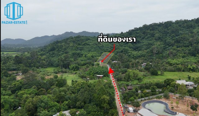 PZ1481–ขาย ที่ดิน พร้อมบ้าน 4 หลัง ติดเขา และสวนผลไม้ 1 ไร่ 3 งาน 38 ตรว. + ภ.บ.ท. 3 ไร่ ตำบลเขาพระ อำเภอเมืองนครนายก  จังหวัดนครนายก
