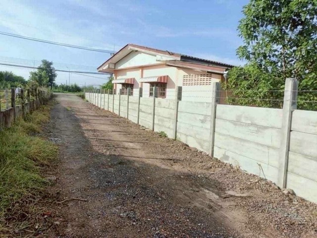 ที่ดิน -  190000 THAI BAHT ไม่ไกลจาก ปั๊มปตท. ตลาด หนองเสือ หนองหมู วิหารแดง บรรยากาศน่าอยู่ ถูกมาก ใกล้ปั๊ม ใกล้ตลาด ในชุมชน