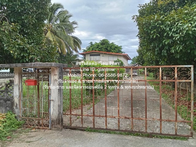 บ้าน ขายบ้านปูนกึ่งไม้ 2 ชั้น 5 น 3 น้ำ (ทรงคลาสสิค) พร้อมพื้นที่สวน 351 ตร.ว. @ตลาดท่าศาลา จ.นครศรีธรรมราช ใกล้ ตลาดสดนับอนุสรณ์ 5500000 THB 5 Bedroom 3 น้ำ 351 ตรว. G O O D! นครศรีธรรมราช   