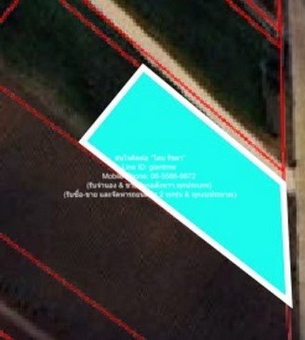 ที่ดิน ขายที่ดินไร่สวนทางการเกษตร (ติดถนน และติดเขา) 550000 บ.  1 ไร่ 0 งาน 0 Square Wah ไม่ไกลจาก จุดชมวิวเขาช่องลม เขาช่องลม DEAL!! อุทัยธานี   