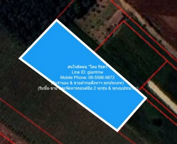 พื้นที่ดิน ขายที่ดินไร่สวนทางการเกษตร (ติดถนน และติดเขา)  ใหญ่ 878 ตาราง.วา 1192205 B. ใกล้ จุดชมวิวเขาช่องลม เขาช่องลม ราคาสุดคุ้ม อุทัยธานี   