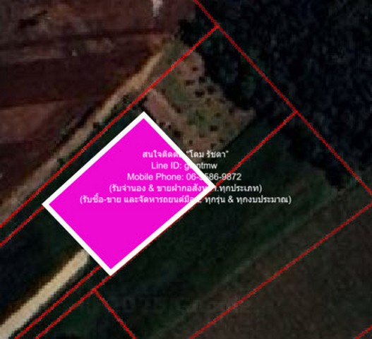 พื้นที่ดิน ขายที่ดินไร่สวนทางการเกษตร (ติดถนน และติดเขา)  530000 B. ใกล้กับ จุดชมวิวเขาช่องลม เขาช่องลม ราคาไม่แรง อุทัยธานี   