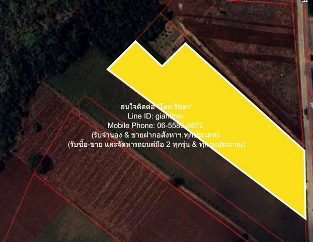 พื้นที่ดิน ขายที่ดินไร่สวนทางการเกษตร (ติดถนน และติดเขา) 689000 บ.  ขนาด 98 SQ.WA 0 Ngan 1 Rai   ทำเลคุณภาพ ที่ดินผังสีเขียว (ไม่สามารถทำโรงงานได้) เพราะฉะนั้น จะไม่มีมลภาวะ หรือของเสียอย่างแน่นอน อยู่ติดถนนคอนกรีต (ทางสาธารณะประโยชน์) ผ่านหน้าที่ดิน