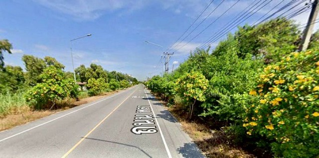 ขายที่ดินระยอง แปลงสวย ทำเลดี ติดถนนสาธารณะ ใกล้หาดพลา FP-L01969 