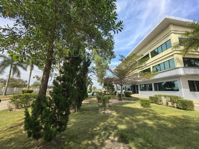 ขายที่ดินพร้อมโรงงานชลบุรี เนื้อที่​  57-3-58 ไร่ พร้อมใบอนุญาตโรงงาน รง.4 บ่อทอง ชลบุรี ห่างจากถนน​ 331  เพียง​ 2​  กม ผังสีเหลือง