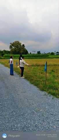 พื้นที่ดิน - ขนาดเท่ากับ 0 ไร่ 0 Ngan 100 sq.wa 390000 - ไม่ไกลจาก องค์พระปฐมเจดีย์ สวนป่าน เซเว่น ซีเจ พร้อมเข้าอยู่ พรีโอน ใกล้องค์พระปฐมฯ น้ำไฟเข้าถึง ถนนหินคลุก