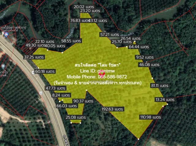 พื้นที่ดิน ที่ดิน ทุ่งมะพร้าว อ.ท้ายเหมือง จ.พังงา  พ.ท. 14623 Square Wah 91396250 BAHT.   เดินทางสะดวก พังงา   