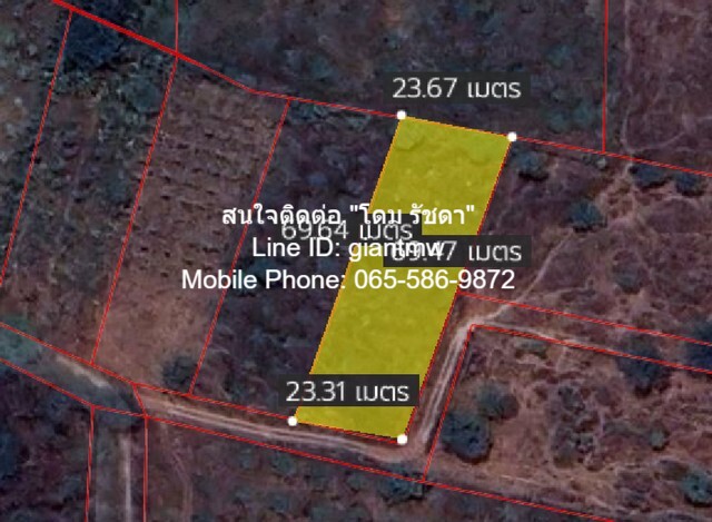  พื้นที่ดิน ที่ดิน หัวหิน จ.ประจวบคีรีขันธ์ area 0 ตรว. 0 Ngan 1 ไร่  2500000 THB   ONE PRICE!