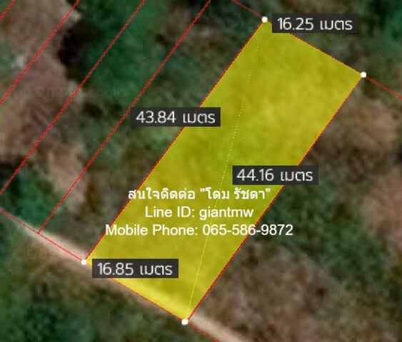  DSL-340 FOR SALE ที่ดิน ที่ดินเกาะพีพี จ.กระบี่ area 0 RAI 1 Ngan 68 ตารางวา  4000000 THAI BAHT เดินทาง สะดวก