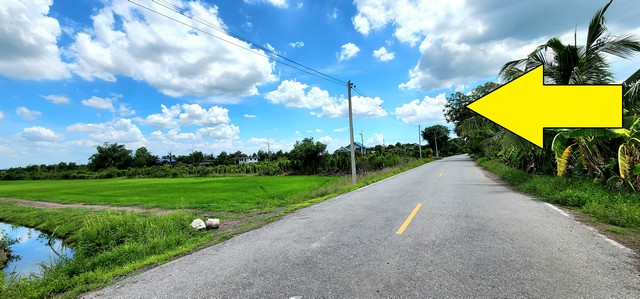 ขายที่ดิน คลอง23 องครักษ์ ขายต่ำกว่าราคาประเมินมาก ติดถนนลาดยาง 22 ไร่ เหมาะทำจัดสรรแบ่งแปลงขาย ทำเลดี