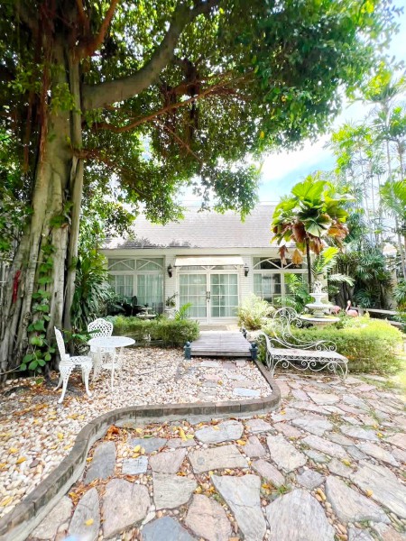 261003gknplas ให้เช่า บ้าน BTSปุณณวิถี220ม. ปุณณวิถี 5-13 ใจกลางสุขุมวิท 101 บ้านเดี่ยวและ Glasshouse 5นอน 2น้ำ  133 ตร.วา.532 ตร.ม.