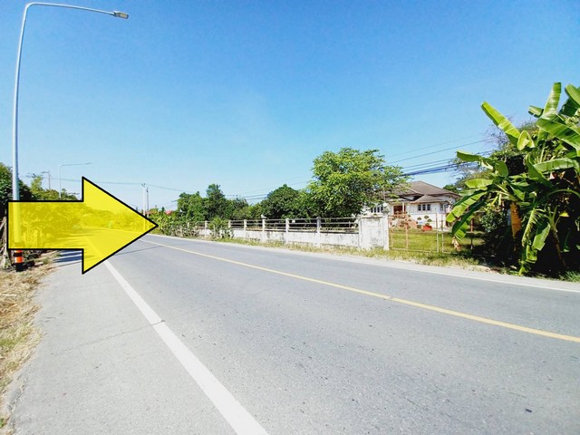 ขายที่ดินแถมบ้านติดถนนลาดยางเรียบ คลอง 12 หนองเสือ 2 ไร่ ติดถนน 2 ด้าน ทำเลเหมาะค้าขาย เหมาะทำโกดัง  อยู่ใกล้แหล่งชุมชน