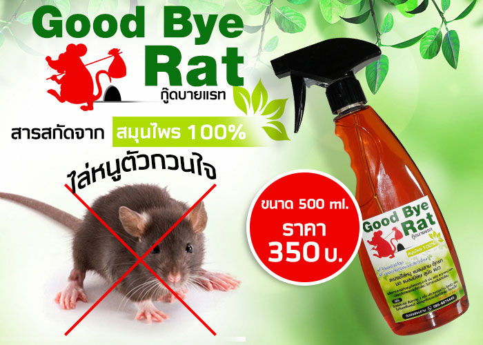 สเปรย์ไล่หนู Good Bye Rat วิธีกำจัดหนู โดยไม่ต้องฆ่า วิธีไล่หนู ได้ผลจริง เห็นผลชัวร์