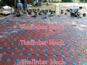 Thaiinter Block   บล็อกตัวหนอน บล็อกแปดเหลี่ยม บล็อกปลูกหญ้า  ขอบทางเท้า ราคาโรงงาน 094-645-6262