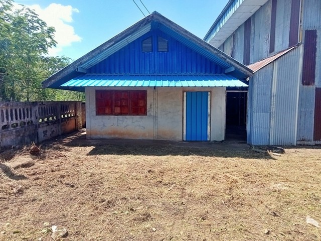 ขาย ที่ดินพร้อมสิ่งปลูกสร้าง บ้านพักอาศัยชั้นเดียว เเละโกดัง  ต.โคกเริงรมย์ อ.บำเหน็จณรงค์ จ.ชัยภูมิ  PAP5-0162