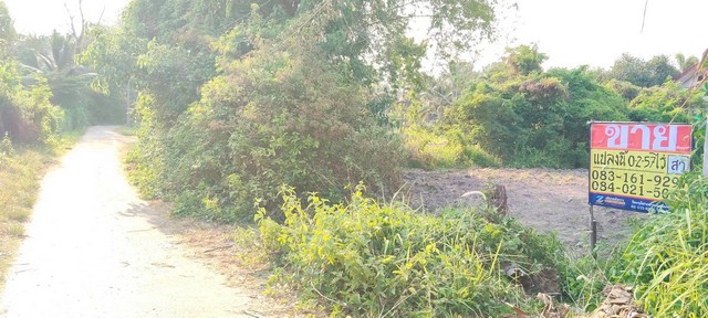 ขายที่ดิน 257 วา  ทำเลทอง ราคาถูก  ในแหล่งเทศบาลชุมชนกระนวน ซำสูง ขอนแก่น