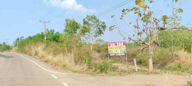 ขายที่ดินสวนยางพร้อมกรีด ราคาถูก 161-0-52 ไร่  คำบง บ้านผือ อุดรธานี  