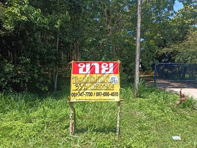 ขายที่ดินสวนยาง  33 ไร่ ชัยเกษม บางสะพาน ประจวบคิรีขันธ์   ใกล้หาดบ้านกรูด เส้นถนนทะลุถนนเพชรเกษมได้