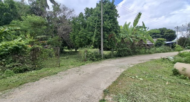 2388 ขาย ที่ดิน ที่ดินสันทราย 3500000 บาท 1 ไร่ 414 ตร.วา เชียงราย    ชั้นที่ 1
