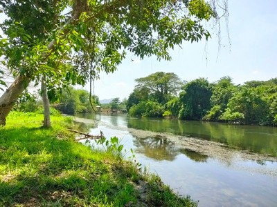 ขายที่ดินติดแม่น้ำ แควใหญ่ ในตัวเมืองกาญจนบุรี 46ไร่  หน้าน้ำกว้างมาก บรรยากาศวิวดีมาก 