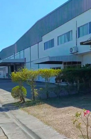 ขายโรงงานบ้านบึงชลบุรี ขายที่ดินพร้อมสิ่งปลูกสร้างบ้านบึงชลบุรี ผังม่วงลาย บนพื้นที่  24  ไร่ ขนาดพื้นที่รวม 10,000 ตรม.