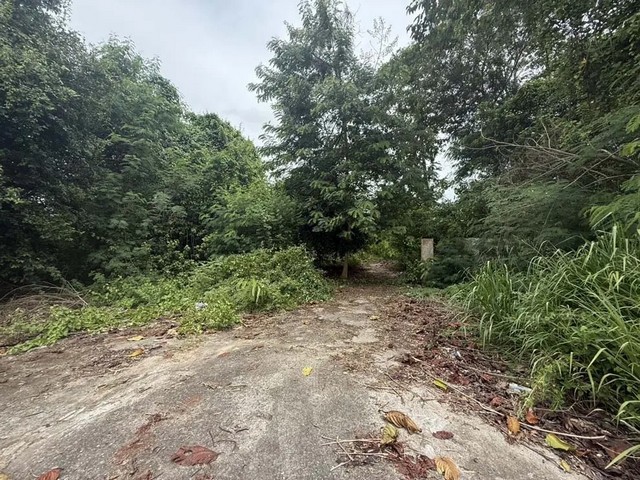  ขาย โรงงาน พนัสนิคม จังหวัดชลบุรี ราคาโปรโมชั่น ลดพิเศษ