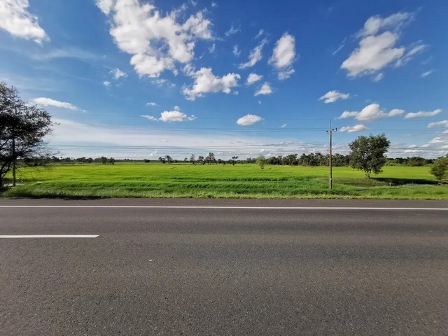  ขาย ที่ดินเปล่า พยัคฆภูมิพิสัย จังหวัดมหาสารคาม  ห่างจาก โลตัส พยัคฆภูมิพิสัย 11.00 กม.