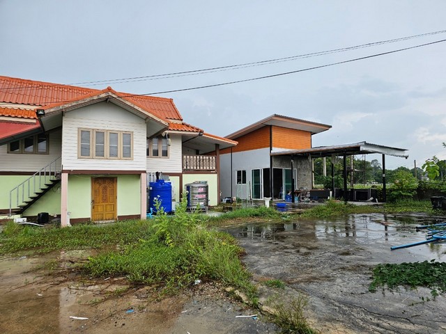 ขายโกดัง 5 ไร่ ตำบลลานสะแก อำเภอพยัคฆภูมิพิสัย จังหวัดมหาสารคาม