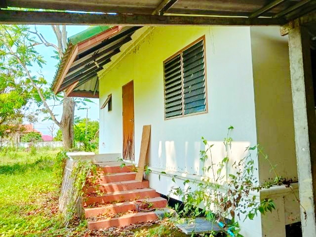 ใกล้ถนนเชียงใหม่ ฝาง ตลาดแม่มาลัย 1กม. แม่แตง เชียงใหม่ บ้านพร้อมที่ดินใหญ่ที่สุดในโลก 6 ไร่  4นอน 3น้ำ 