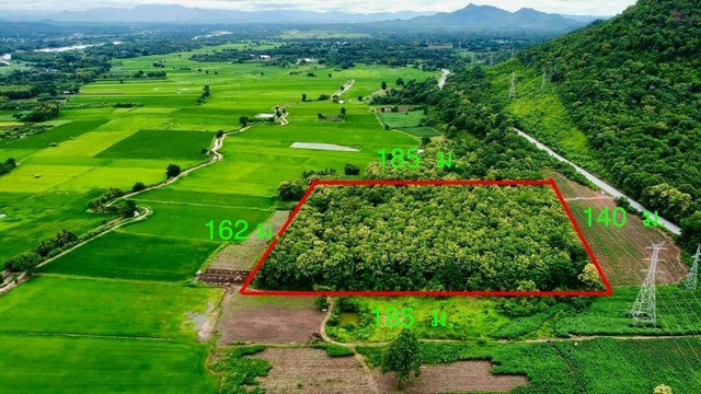 ขายที่ดิน จ.ตาก  ( 2.8แสน/ไร่ ) พื้นที่ 16 ไร่ 2 งาน 89 ตร.ว. ติดถนนสาธารณะ 2 ด้าน มีบ้านสองหลัง 