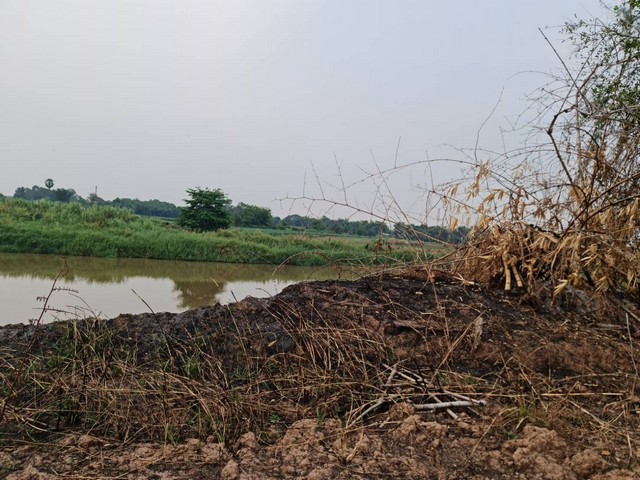 มิติใหม่ในการเลือกทรัพย์ฉลาด  ขาย ที่ดินติดแม่น้ำน่าน ที่สวยติดแม่น้ำน่าน ชุมแสง  จ.นครสวรรค์