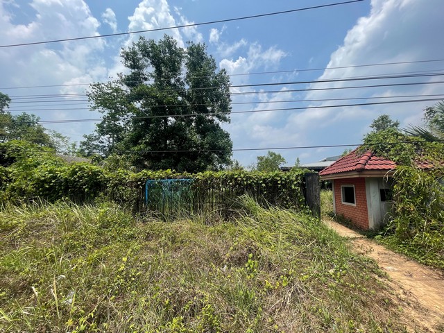 ขาย ที่ดินพร้อมสิ่งปลูกสร้าง  อำเภอคุระบุรี พังงา  ห่างจาก โรงพยาบาลคุระบุรีชัยพัฒน์ 1.8 km.	