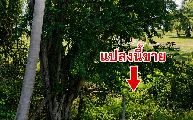 ที่ดินติดทะเลประจวบฯ บ่อนอก ติดทั้งถนนและทะเล ทำเลดี ราคาถูก