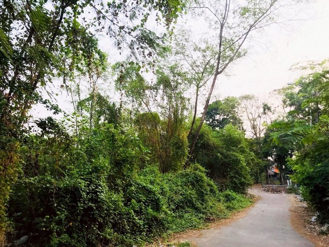 ขายที่ดิน 208 ตรว. นวมินทร์ 24 (ซอยอุเทน 8)  ที่ติดริมน้ำ ใกล้สวนนวมินทร์ภิรมย์